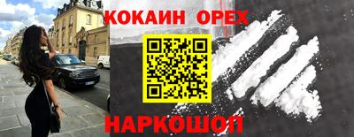 крисы Кулебаки