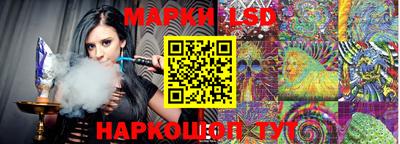 крисы Кулебаки
