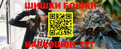 крисы Кулебаки