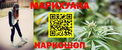 крисы Кулебаки