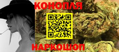 крисы Кулебаки