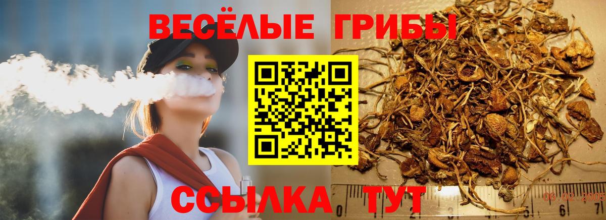 Галлюциногенные грибы мухоморы Изобильный